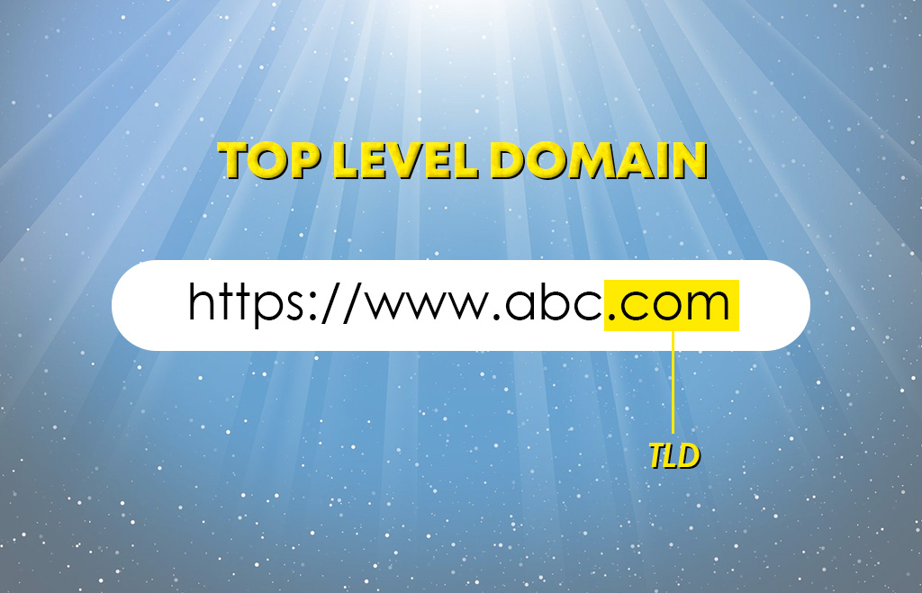 Web Domain Name Types