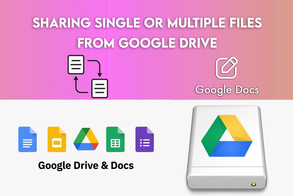 Sharing Single or Multiple files from Google Drive